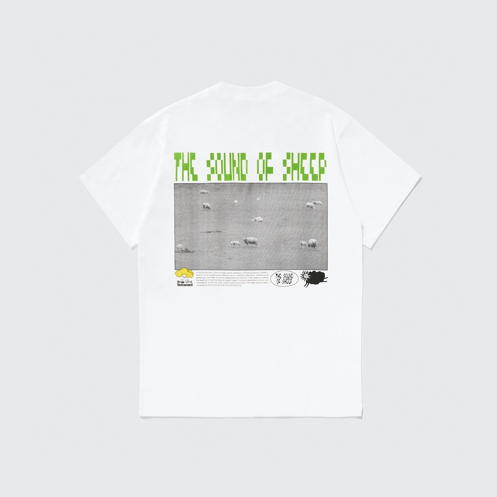 Sheep Ciro - Image 3