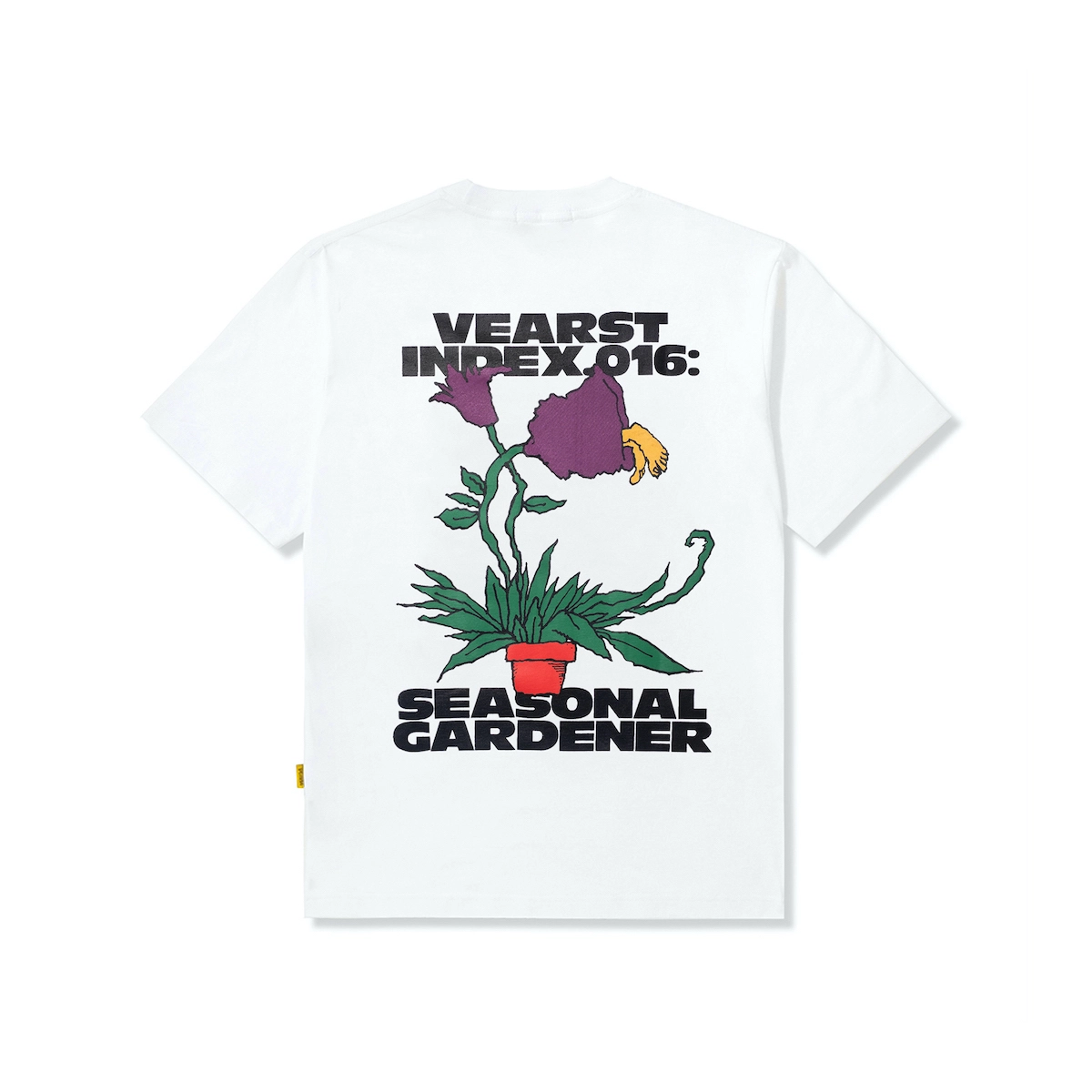Seasonal White - Image 3
